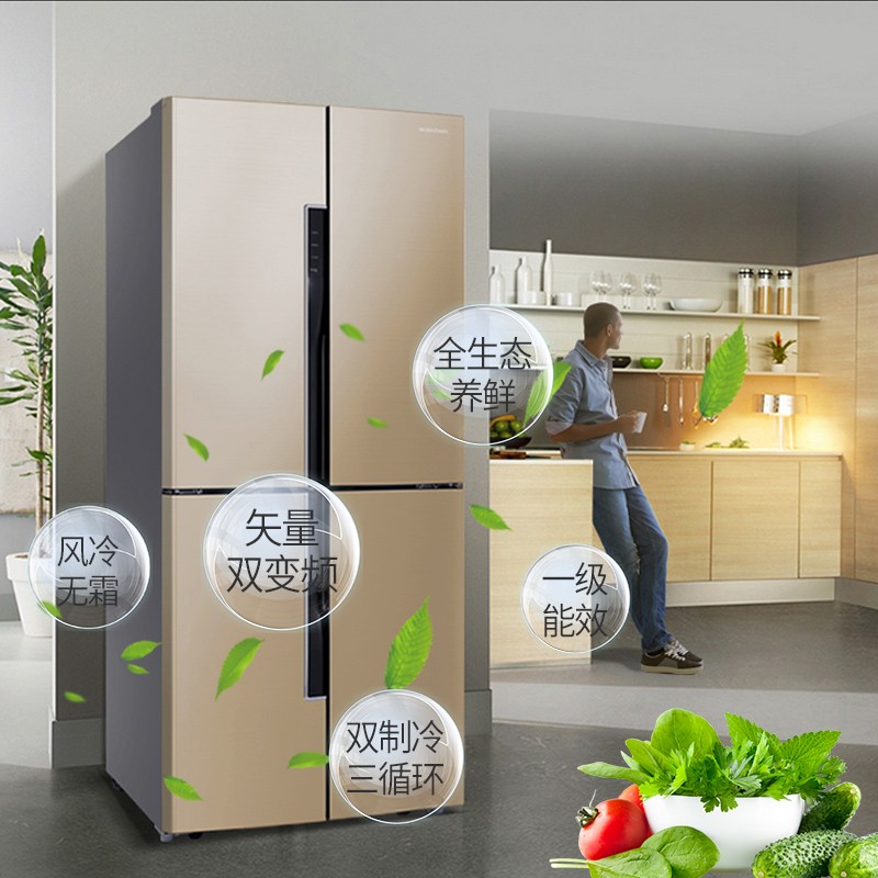 䣨Ronshen BCD-456WD11FP ʮֶ˫Ƶ¾(ɫ)