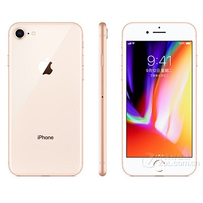 ƻiPhone 8ȫͨ(ȫͨ,,64GB,,׼,ɫ)