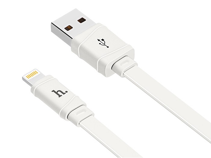 ƿ X5 Apple ڳ 40019 ɫ