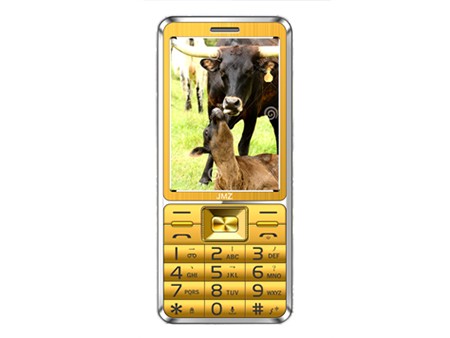 Ĵָ Z8Сţ ɫ