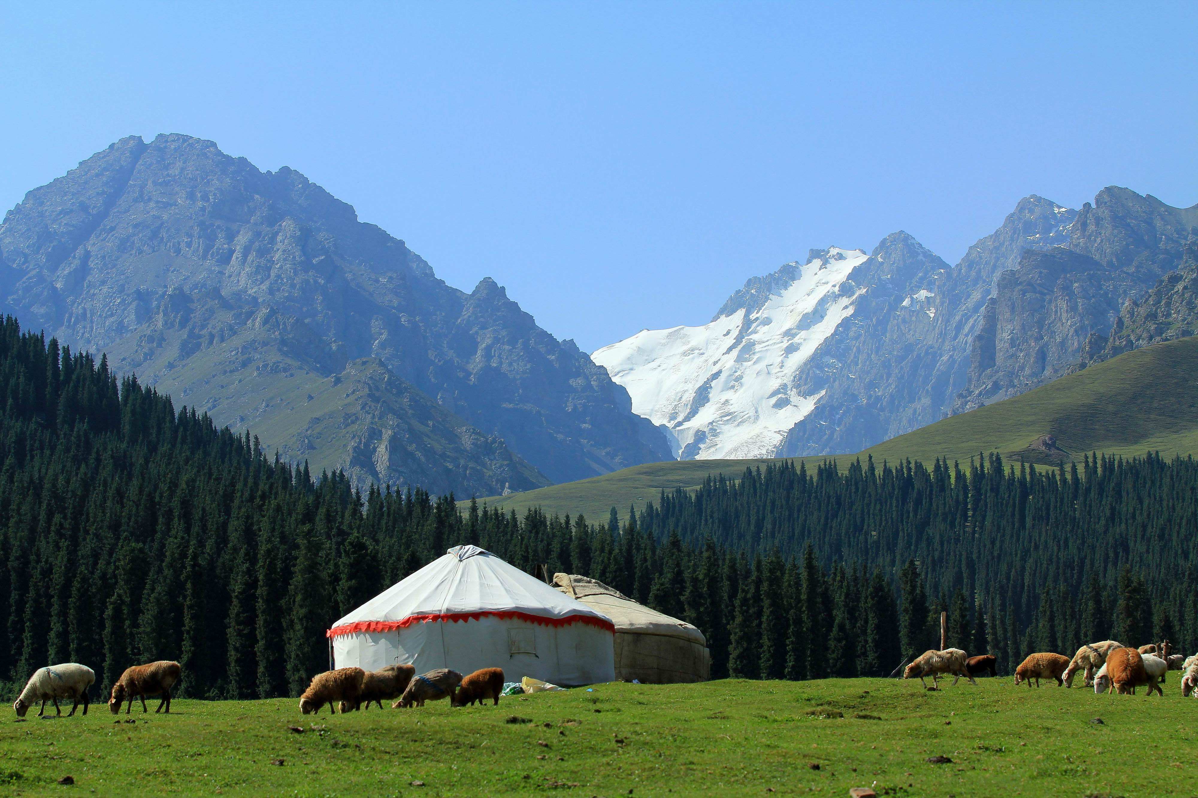 荣耀8(frd-al00/3gb ram/全网通)点评