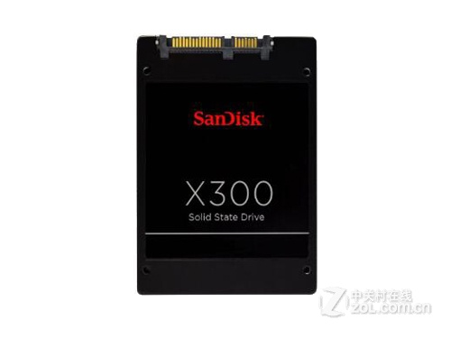 -X300-SD7SB6S-256G-1122 (256G)