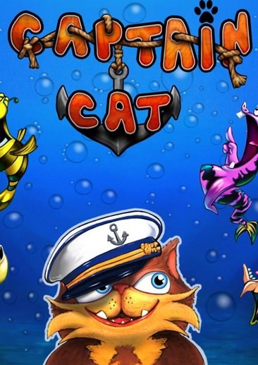 口袋猫船长
