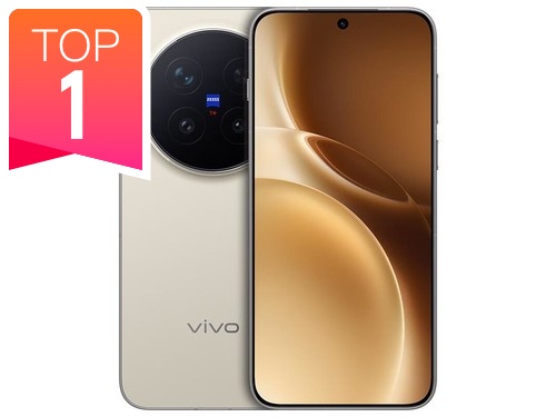 vivo X300 Pro12GB+256GB
