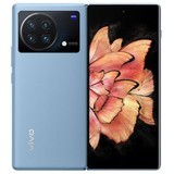 vivo X Fold+(12GB/256GB)