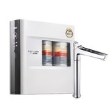 A.O.史密斯DR1600FWi