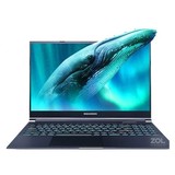 机械革命极光Pro(i7 12650H/16GB/512GB/RTX4060)