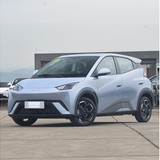 比亚迪 海鸥 2025款 智驾版 305km 活力版