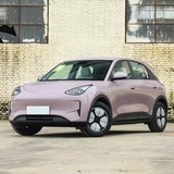 吉利银河 星愿 2026款 310km 青春版