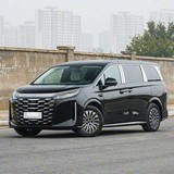 比亚迪 夏 2026款 DM-i 1.5T 100KM 进取型