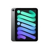 苹果iPad mini 7(128GB/WLAN版)