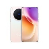 vivo X300(12GB/256GB)