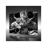 雷鸟鹤6 26款 85英寸(85R69A)