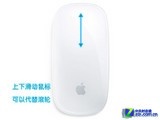 ׿ʽ ƻMagic Mouse 