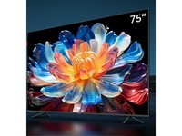  75 inch TV comparable to mini led top ten brands