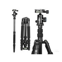 ˼��E1005A+G12