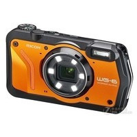 ����WG-6