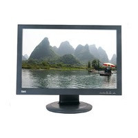 ����19��Һ��WB