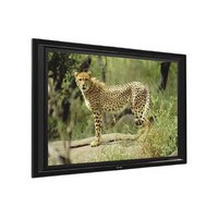 ƽ��ͶӰĻ��(100Ӣ��/16:9)