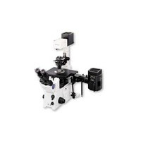 ���ְ�˹IX71