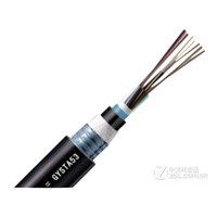 ���Ʊ�������������ģ24о����(GYSTA53-24B)