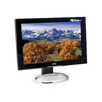����19��Һ��WT