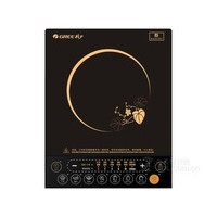 ����GC-20XCA��������