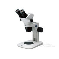 ���ְ�˹SZ51