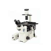 ���ְ�˹IX51