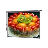 ���ǵ綯Ļ(100Ӣ��/����/4:3)