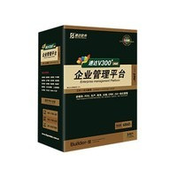 �ٴ�V300+.net-��ҵ��