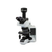 ���ְ�˹BX53