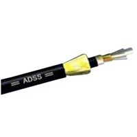 ���Ʊ��ڷǽ���24о��ģ��������(ADSS-24B1)