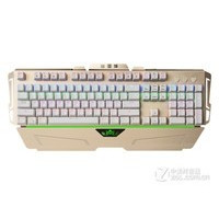 Ѷ����������5��е����