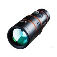 ������T01 12*50