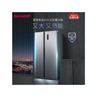 ����BCD-610WSBJ-H