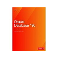 �׹���ORACLE Database 19C