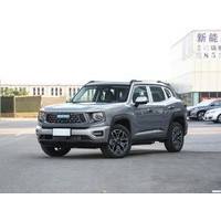 哈弗二代大狗新能源 2023款 DHT-PHEV 50km 潮电版