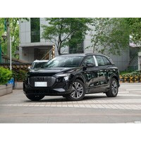 �µ�Q5 e-tron 2023��