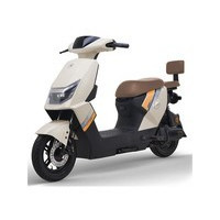 �����販2024