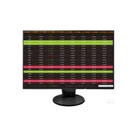 EIZO EV2456