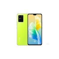 vivo S10（8GB/256GB/全网通/5G版）