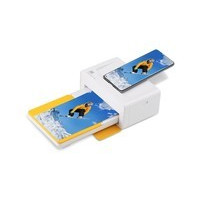 �´�Dock Plus 2022 Edition