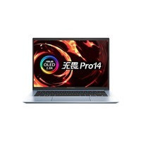 ��˶��ηPro 14