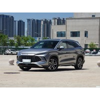 ���ǵ���L DM-i 2024��