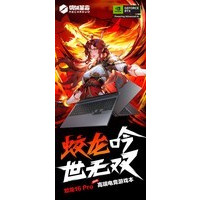 е16Pro 2025(R9-7845HX/16GB/512GB/RTX5050)