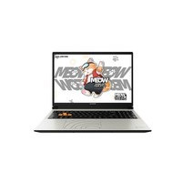 ߲ʺMEOW R16 Pro(R9-7845HX/16GB/1TB/RTX5060)