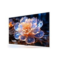 ��ΪVision�ǻ��� 5 SE������ 75Ӣ��