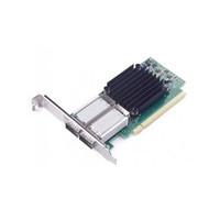 Mellanox MCX456A-ECAT