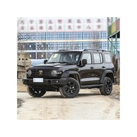 ̹��300 2025�� 2.0T ��ս��